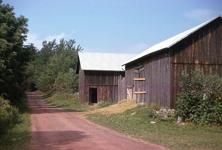 The barn in the foreground had a horse and a rope swing. The rear barn was the "rec room."